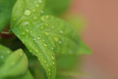 IMG_3079-scaled