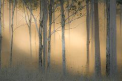 Coffee Creek, Toowoomba, Australia.