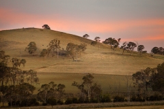 Country life..